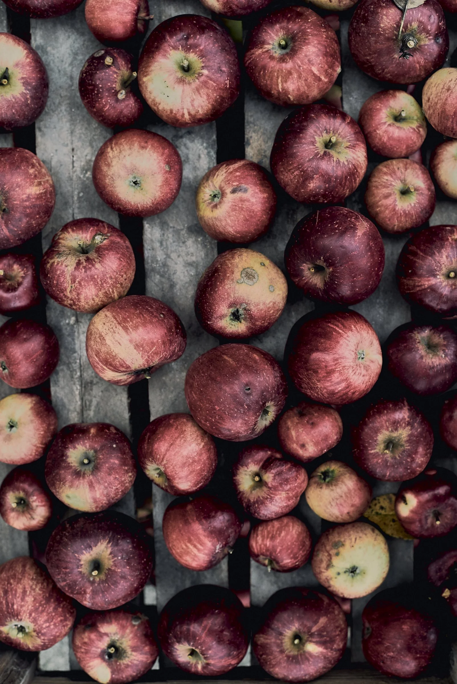 Delicious guardians of health - apples