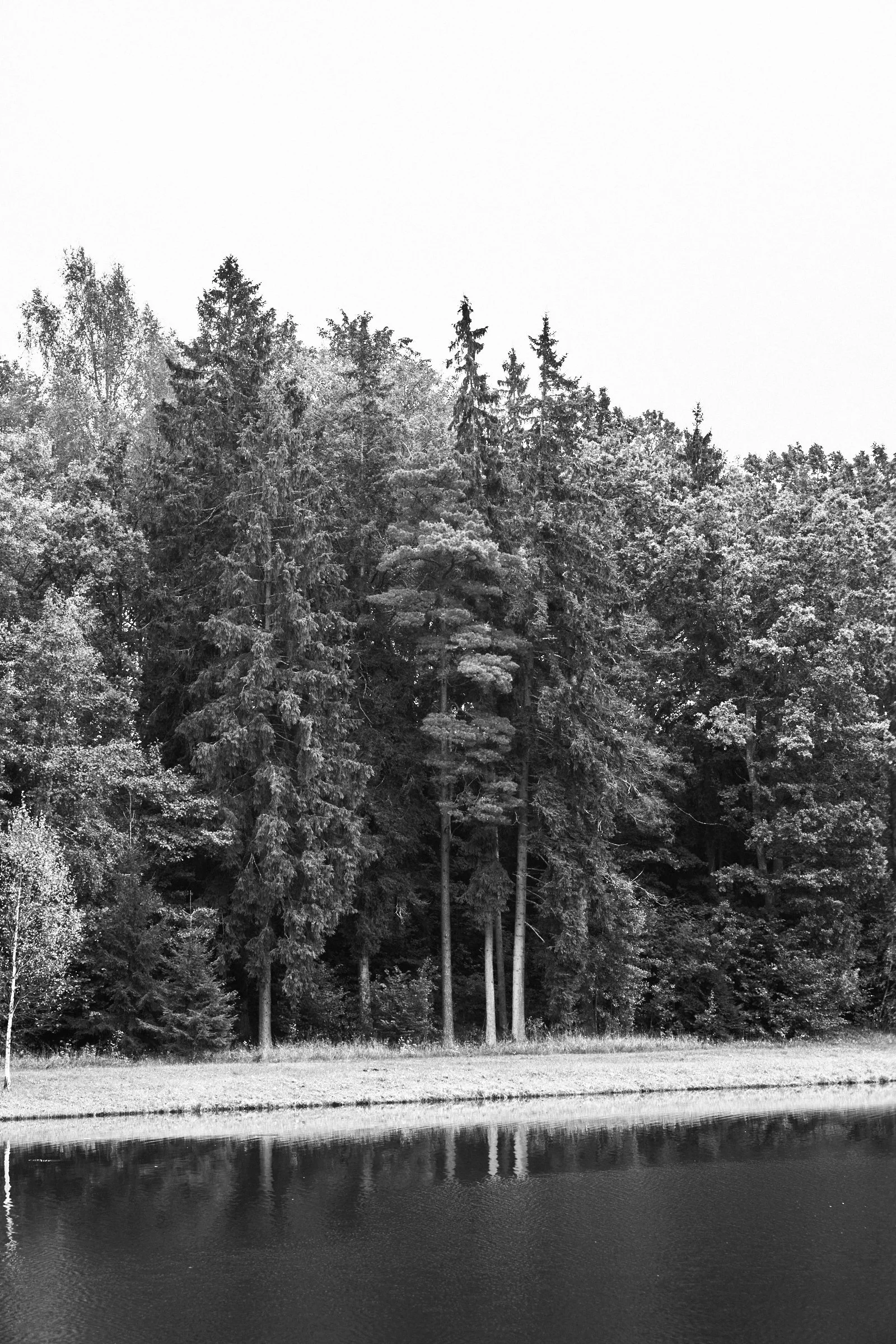 rumene_bw_masterclass_sept_2025 21.jpg