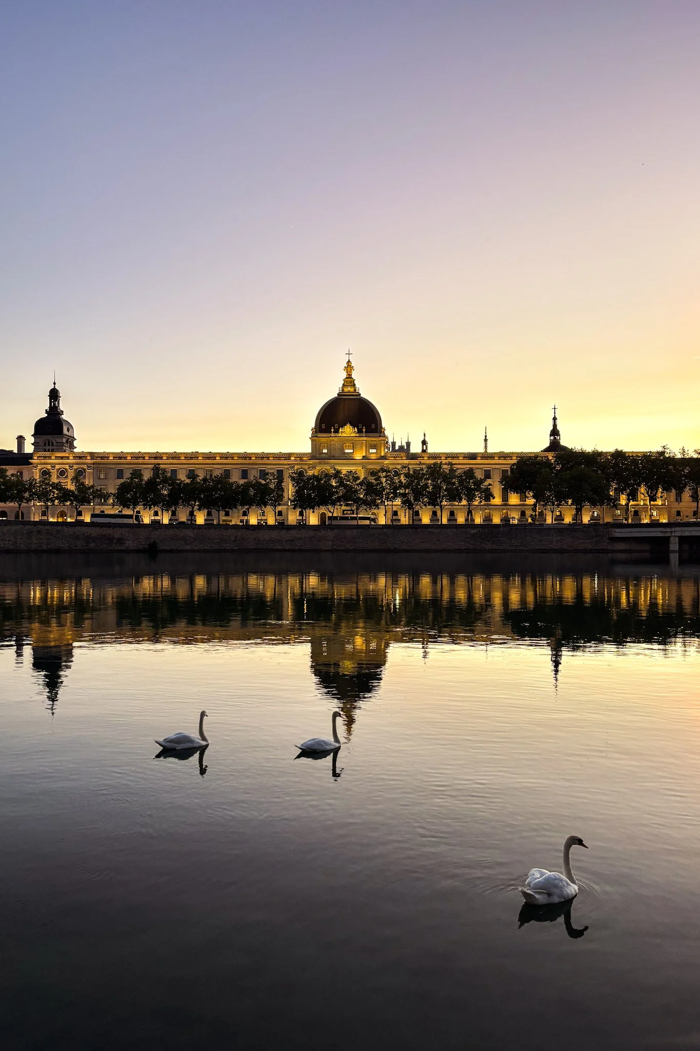  Lyon. Hôtel Dieu&nbsp; 