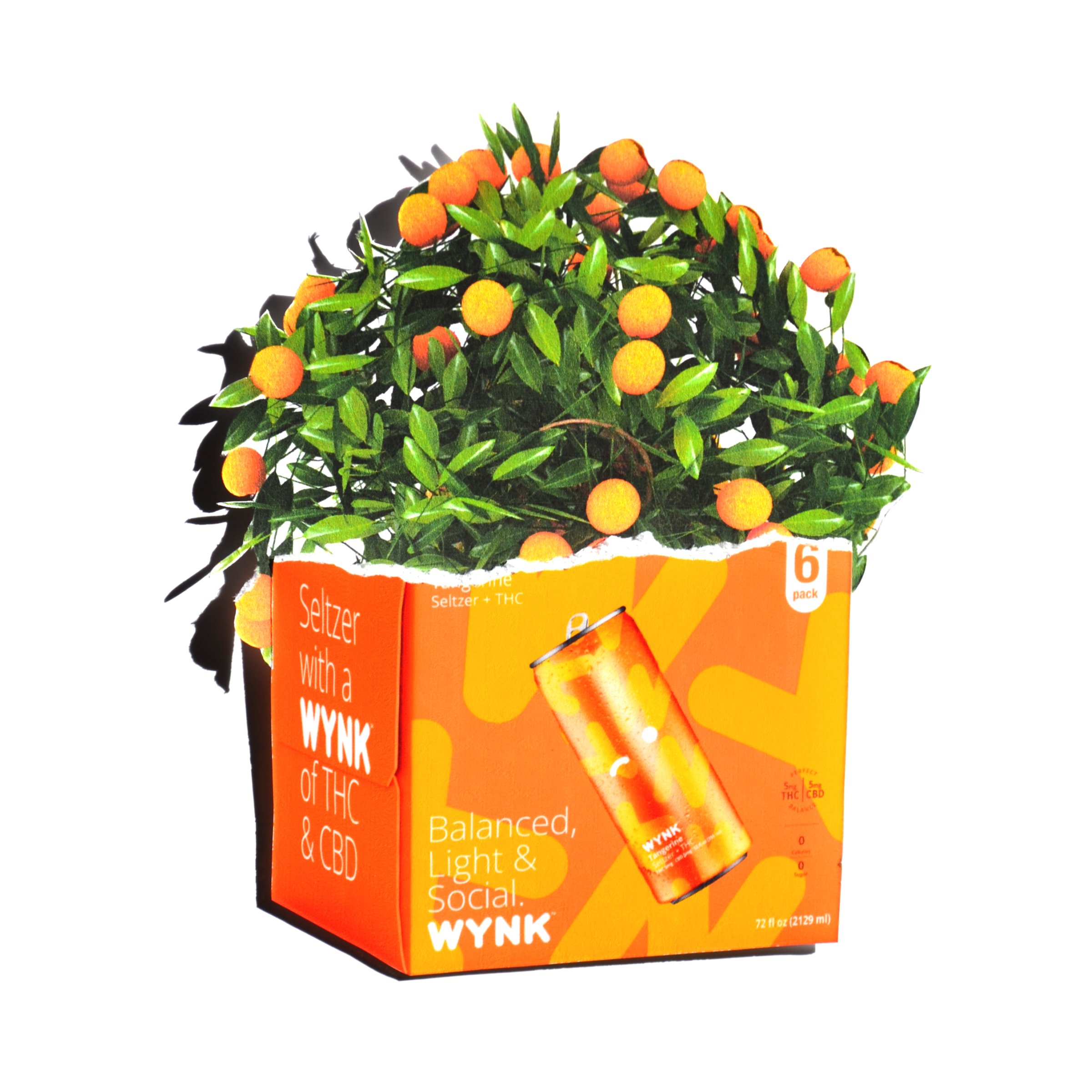 10_Box Plant.jpg