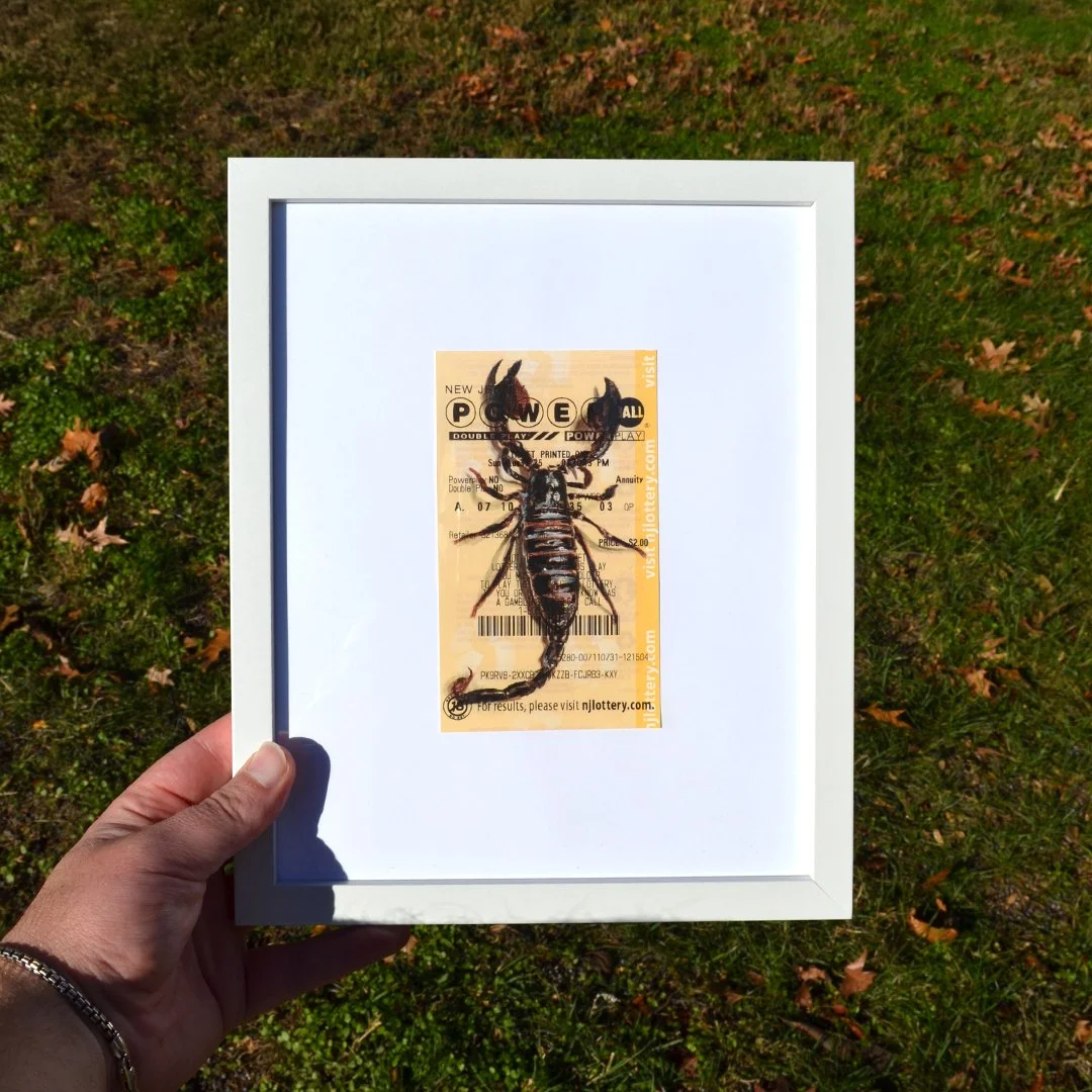 2_Lottery Ticket.jpg