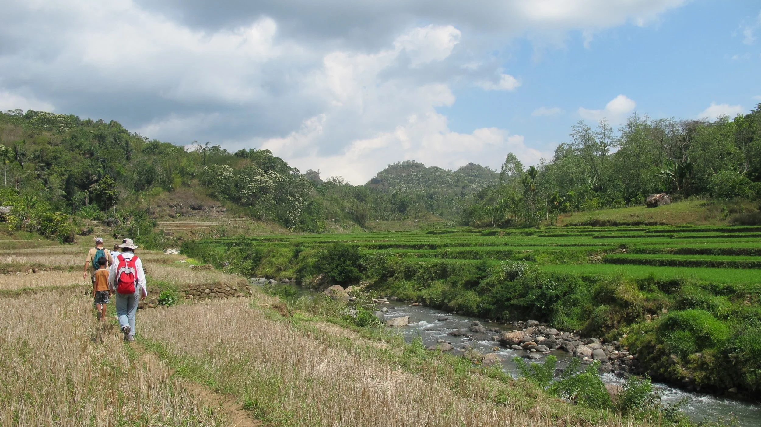 Local and introduced hominins in the Wae Racang river valley (Copy)