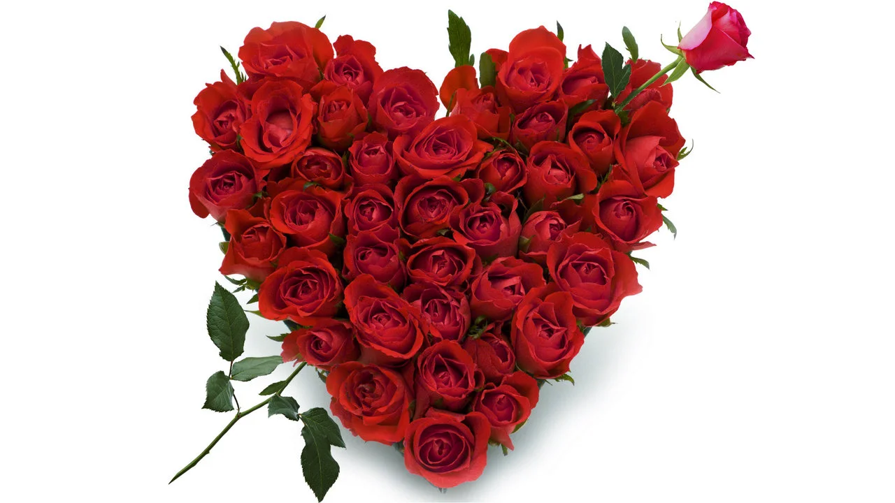 roses_heart__element_of_magic_for_love.jpg
