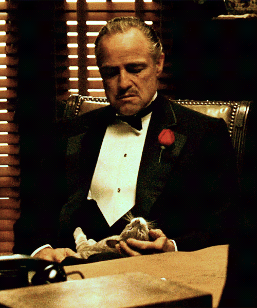 tumblr_n6iux7wqjz1sla5peo1_5001.gif