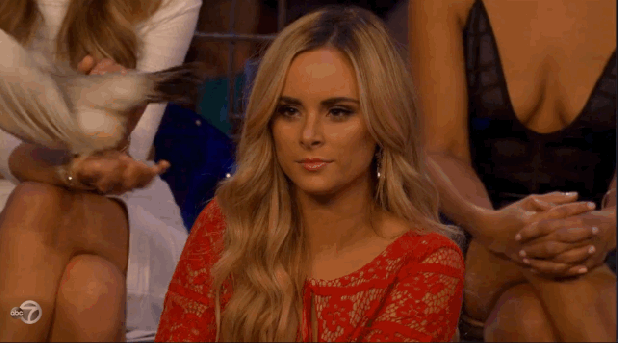 bachelor-wta-bird.gif