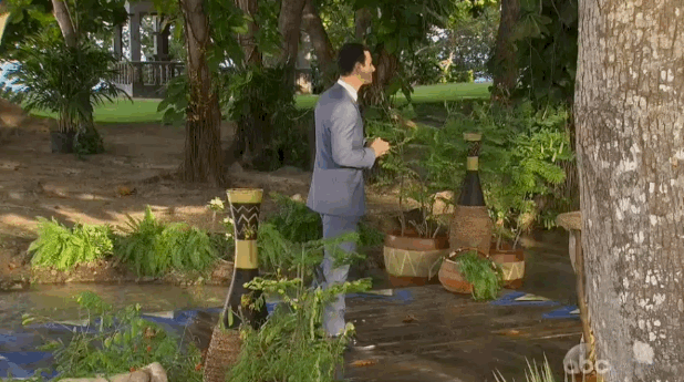 the-bachelor-finale-78-29.gif