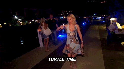 tumblr_n43pkdhmbt1ql5yr7o1_500.gif