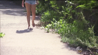 tumblr_o3cozbdig81u8qazco1_4001.gif