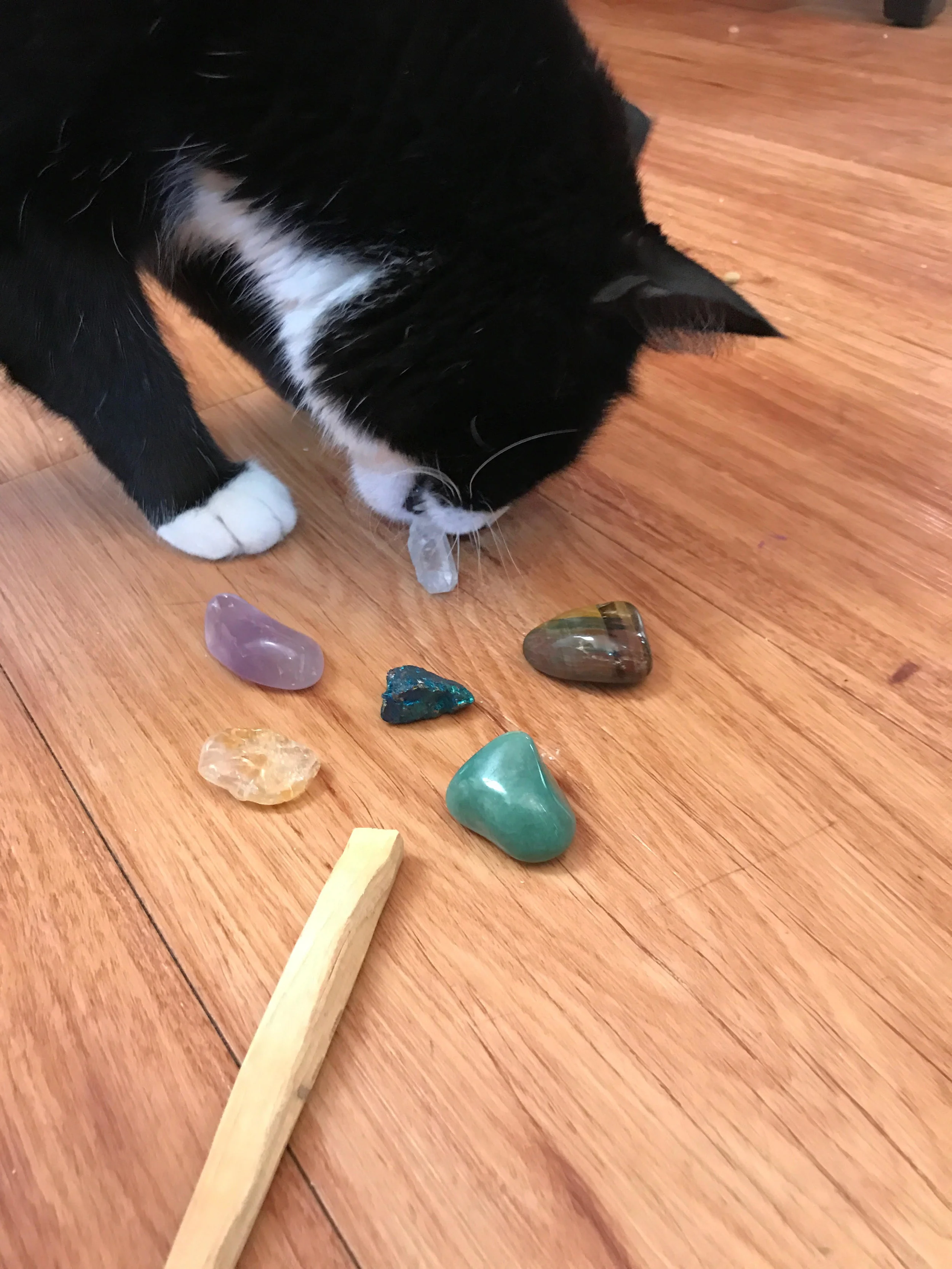 crystalkitapproval