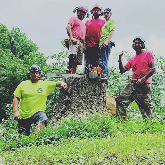 120ft Poplar Tree. Drop and leave. #igetpaidforthis #amputee #westvirginia #workhardstayhumble #stihl #ateam