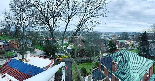 Can&rsquo;t get the #Coronavirus from up here. 😂 #workhardstayhumble #treebiz #craggsgocountry #highlife #familythateatstogetherstaystogether #westbygod
