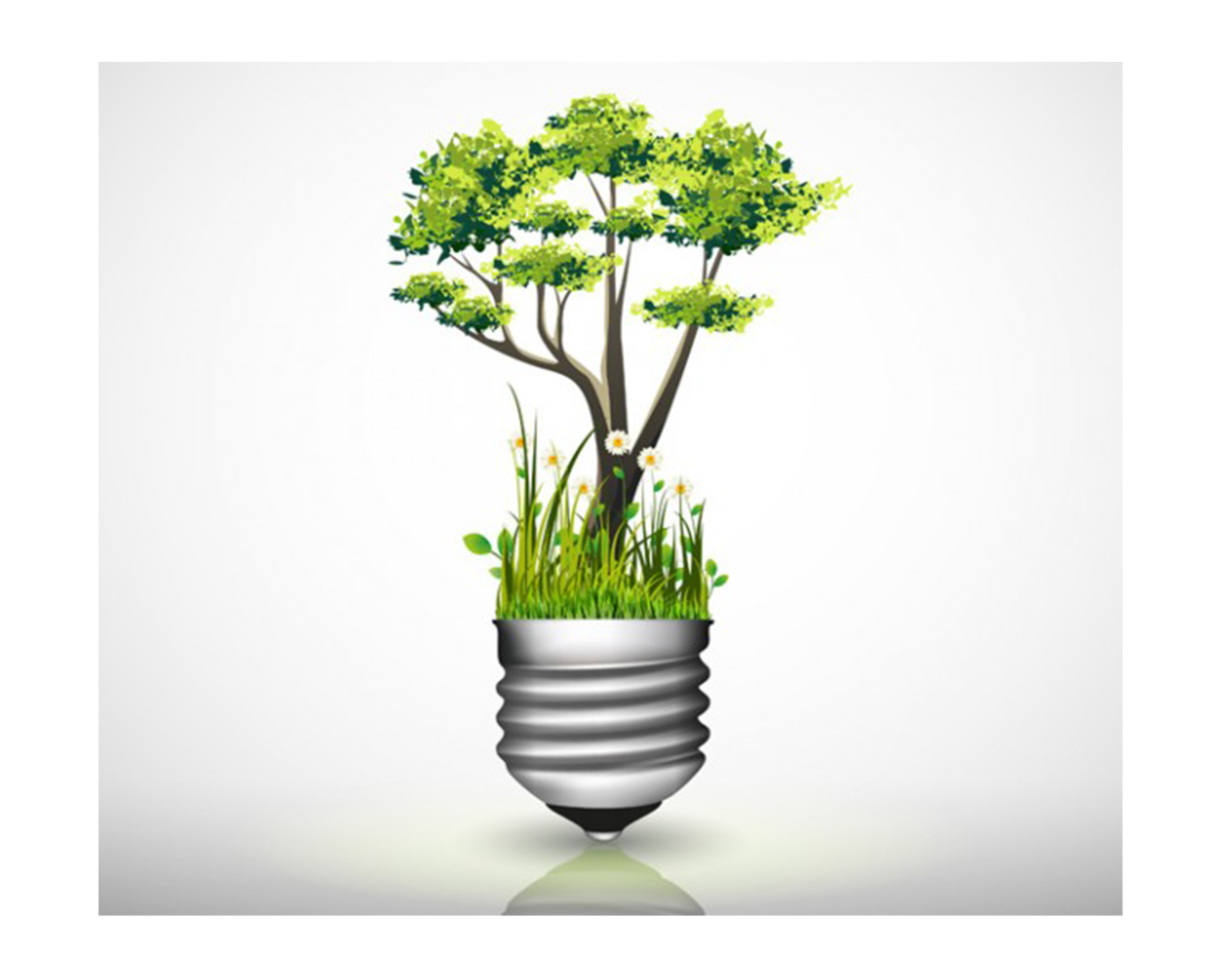 tree lightbulb.png