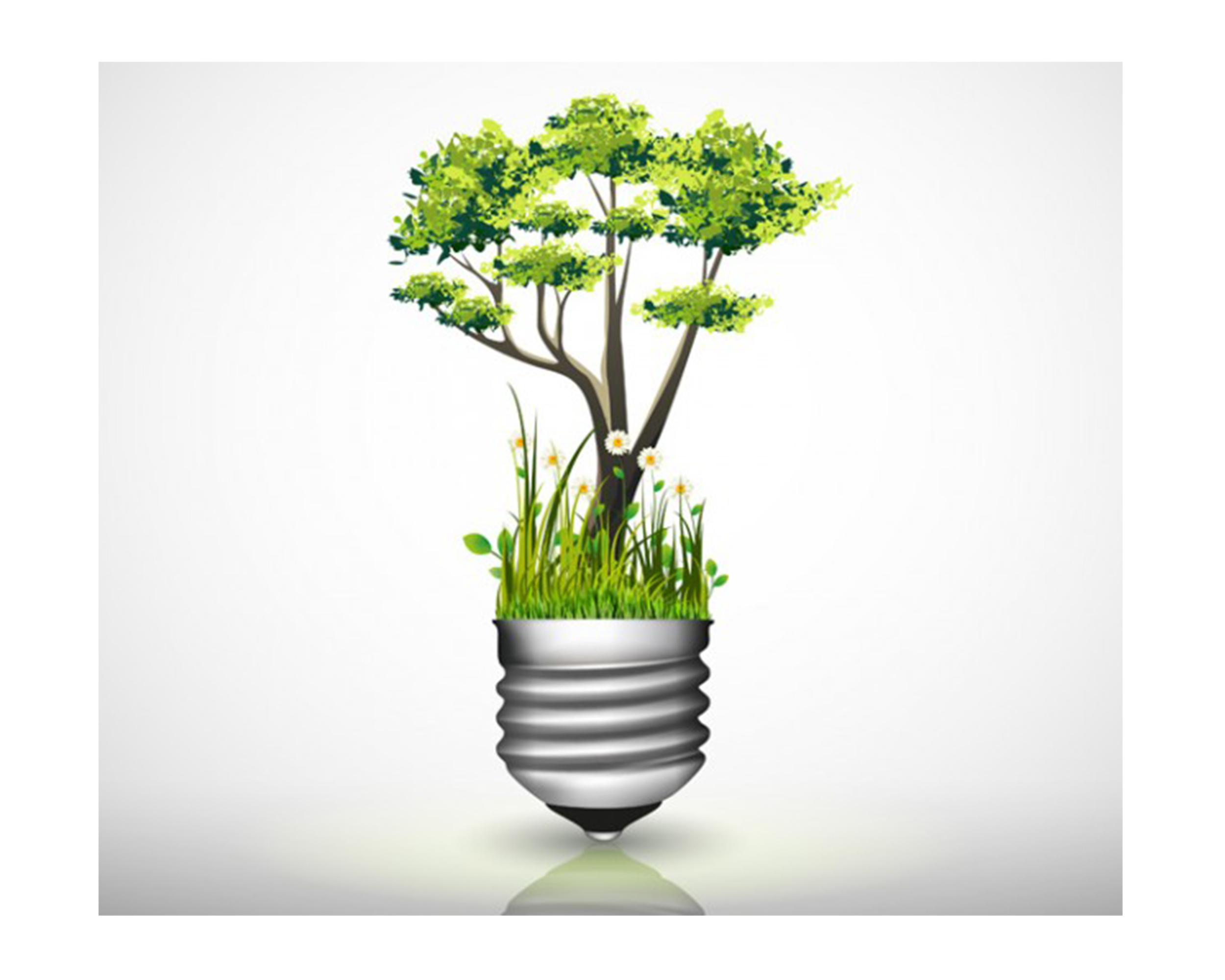 tree lightbulb.png