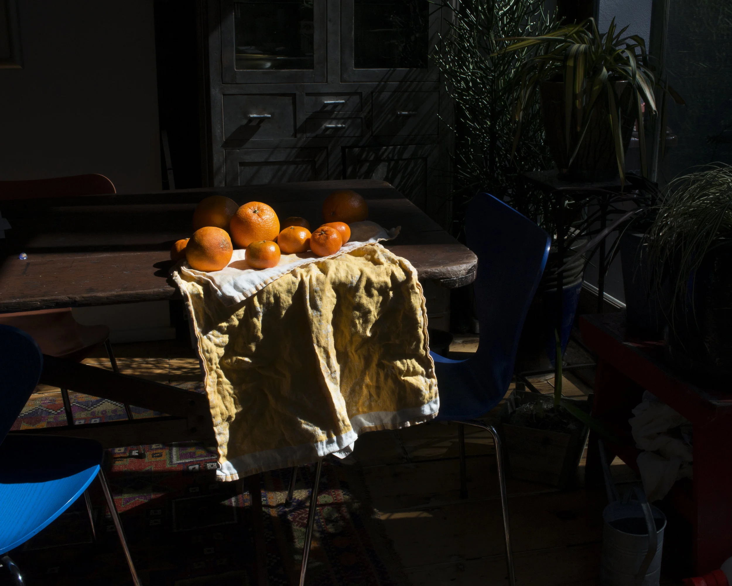 Oranges Final Fiber copy.jpg