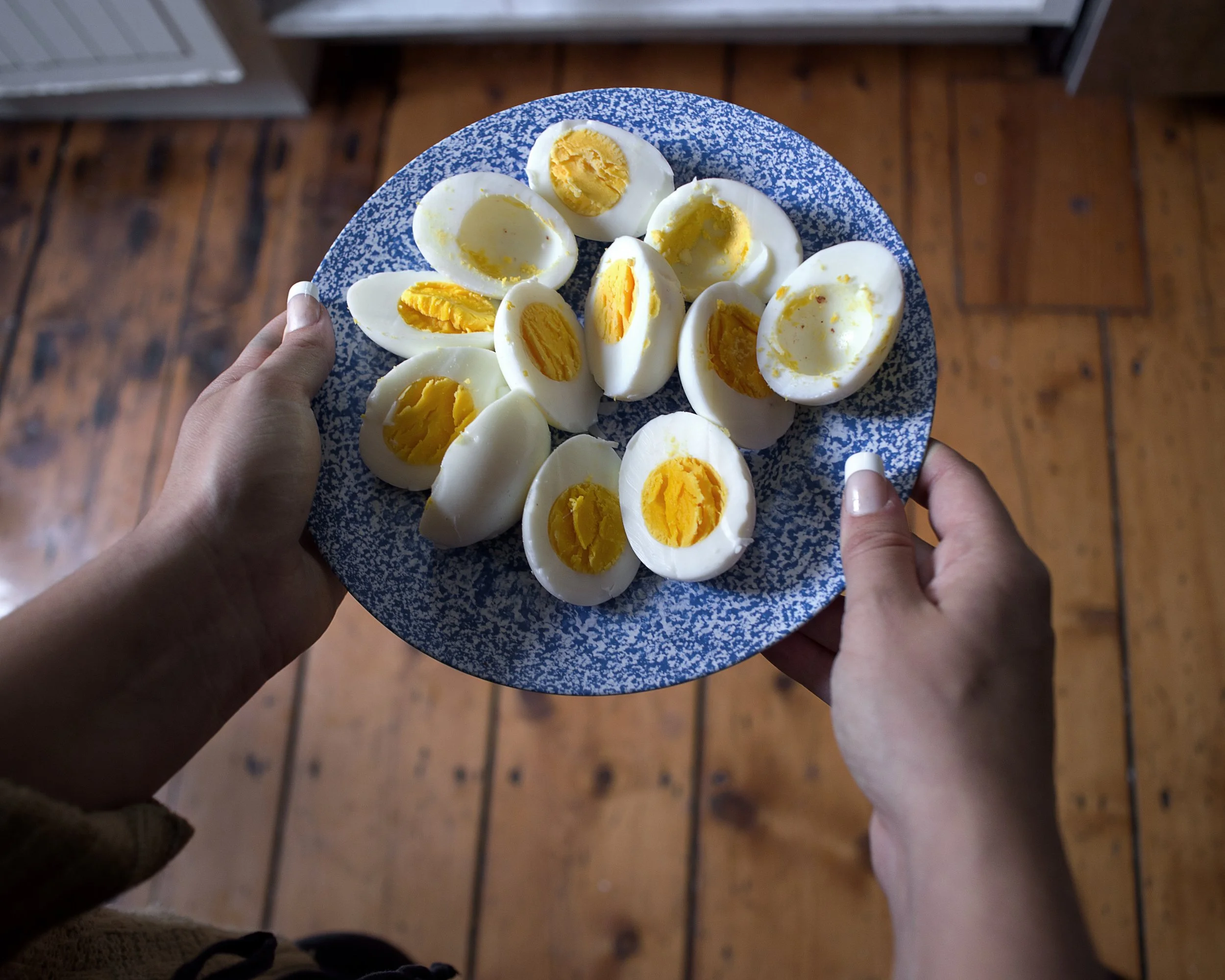 Eggs Fiber Final copy.jpg