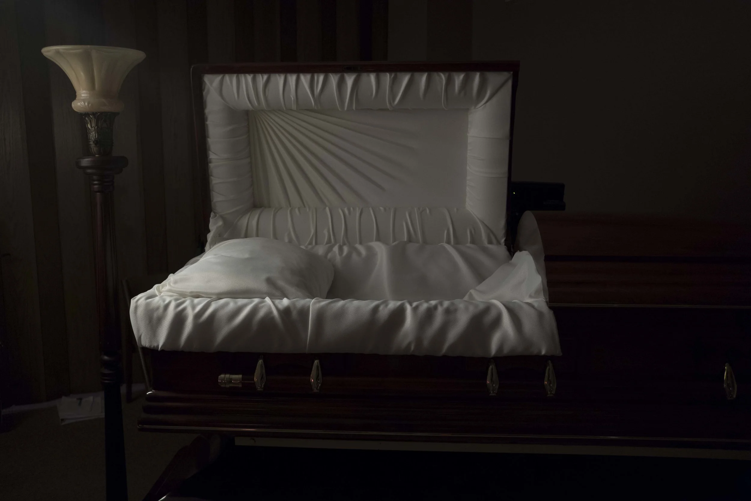 LFrances_TODUST29.jpg