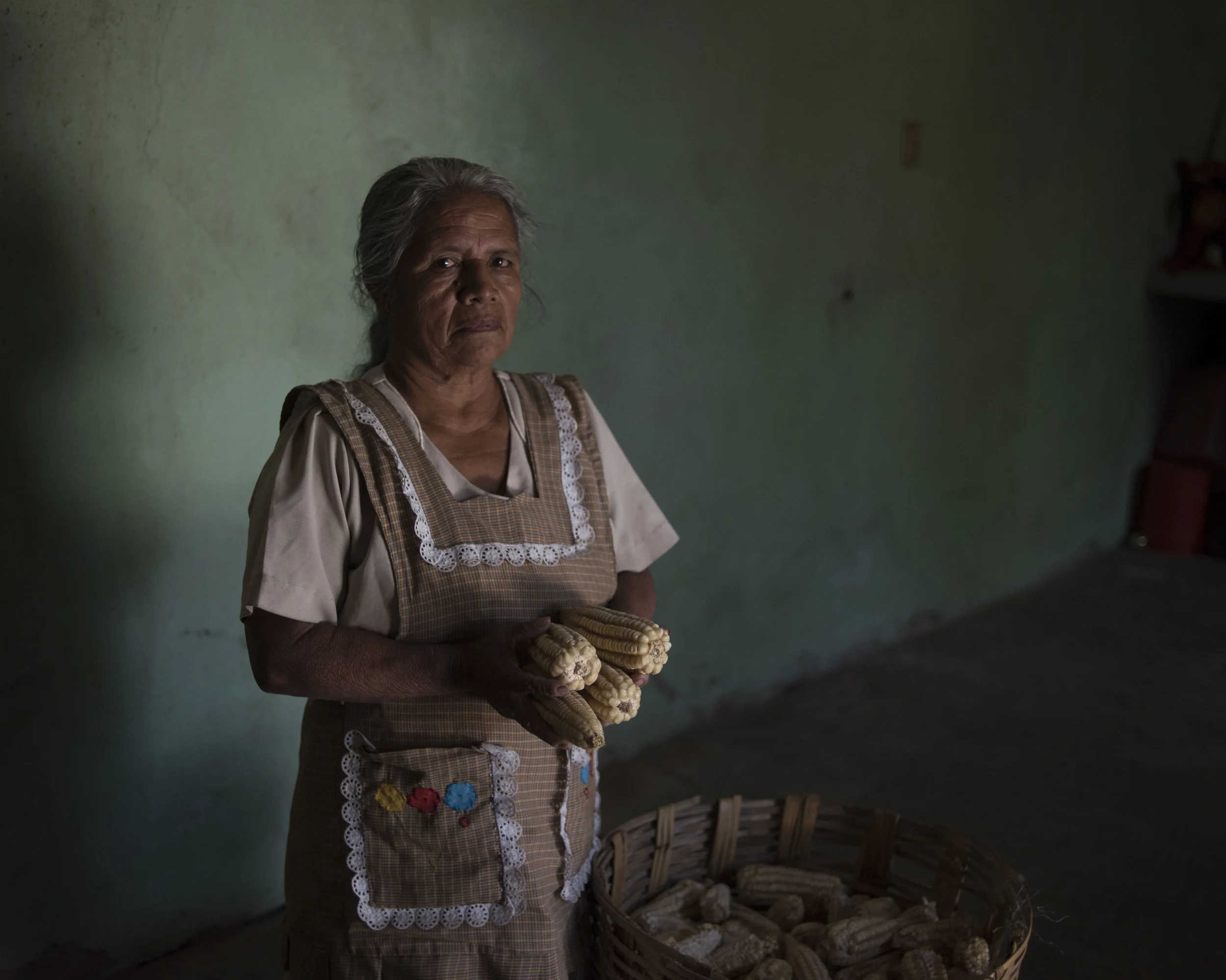 Maria Luisa Lopez, Abasolo, OAX.