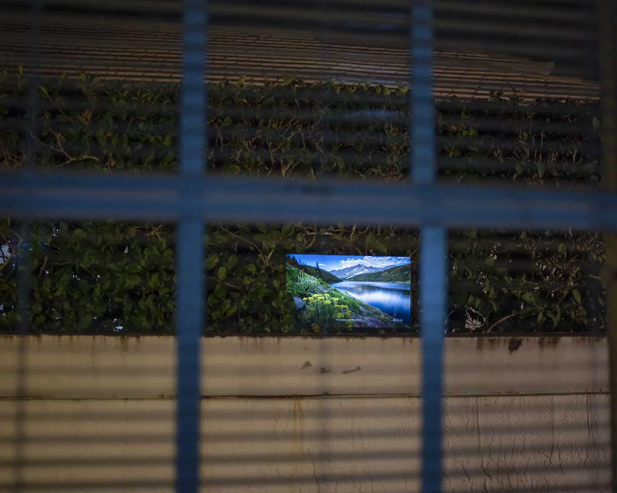 window.jpg