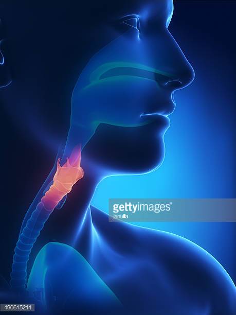 Photo by janulla/iStock / Getty Images