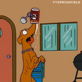 giphy.gif