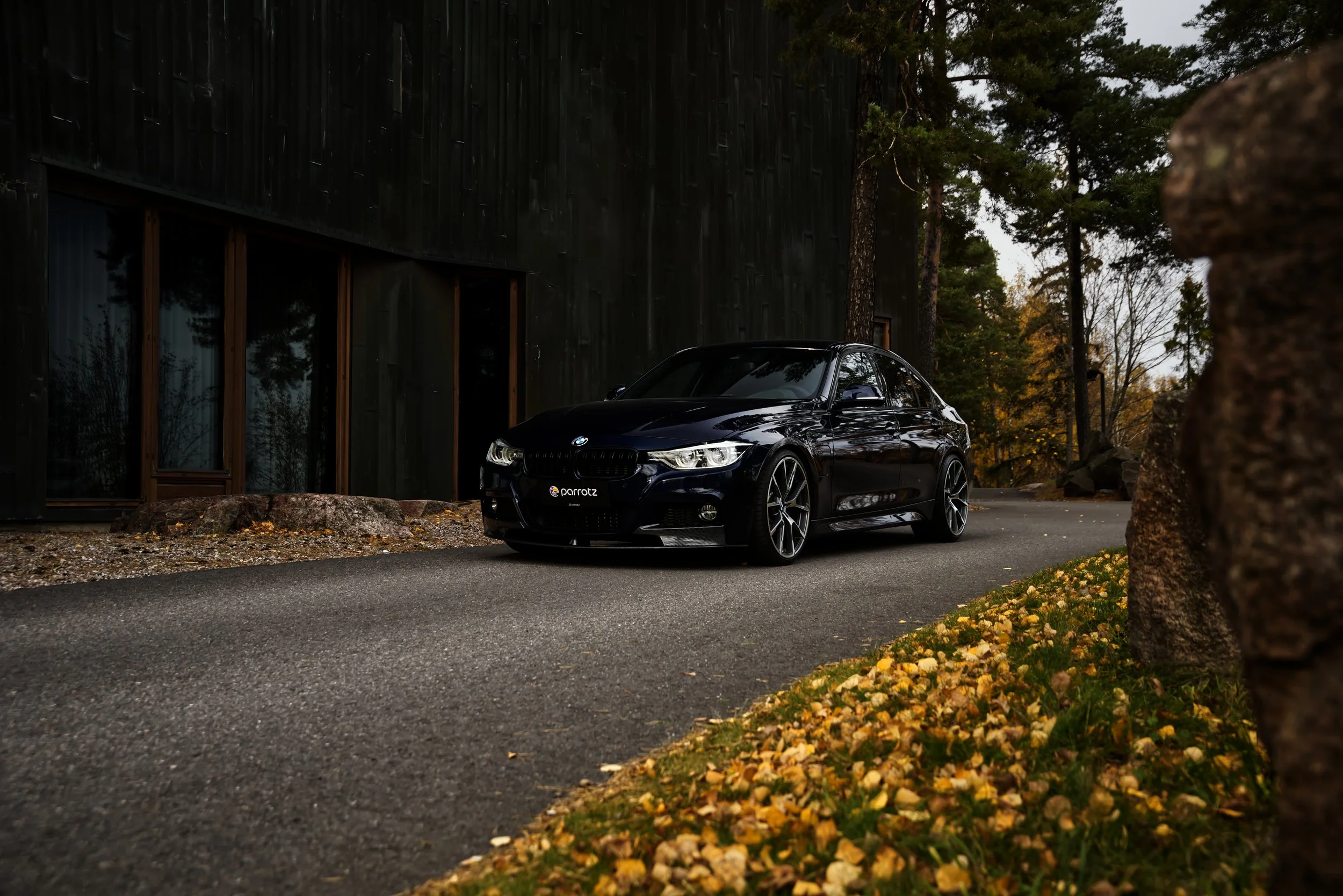 Parrotz_TVG_BMW_330e_6.jpg