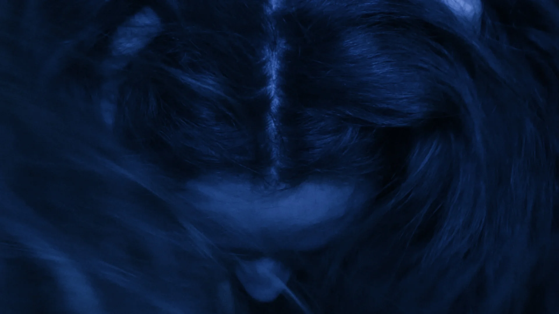 interaction (conflation)