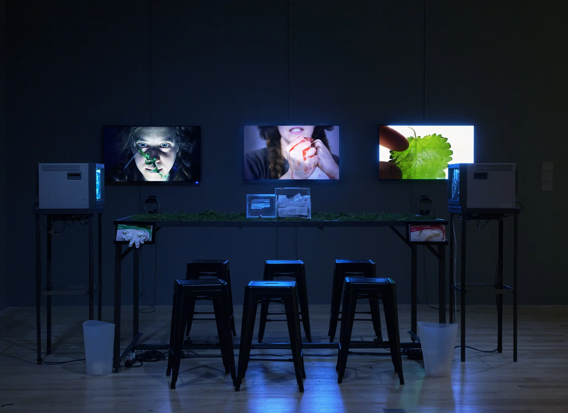 the curious mind made up at last