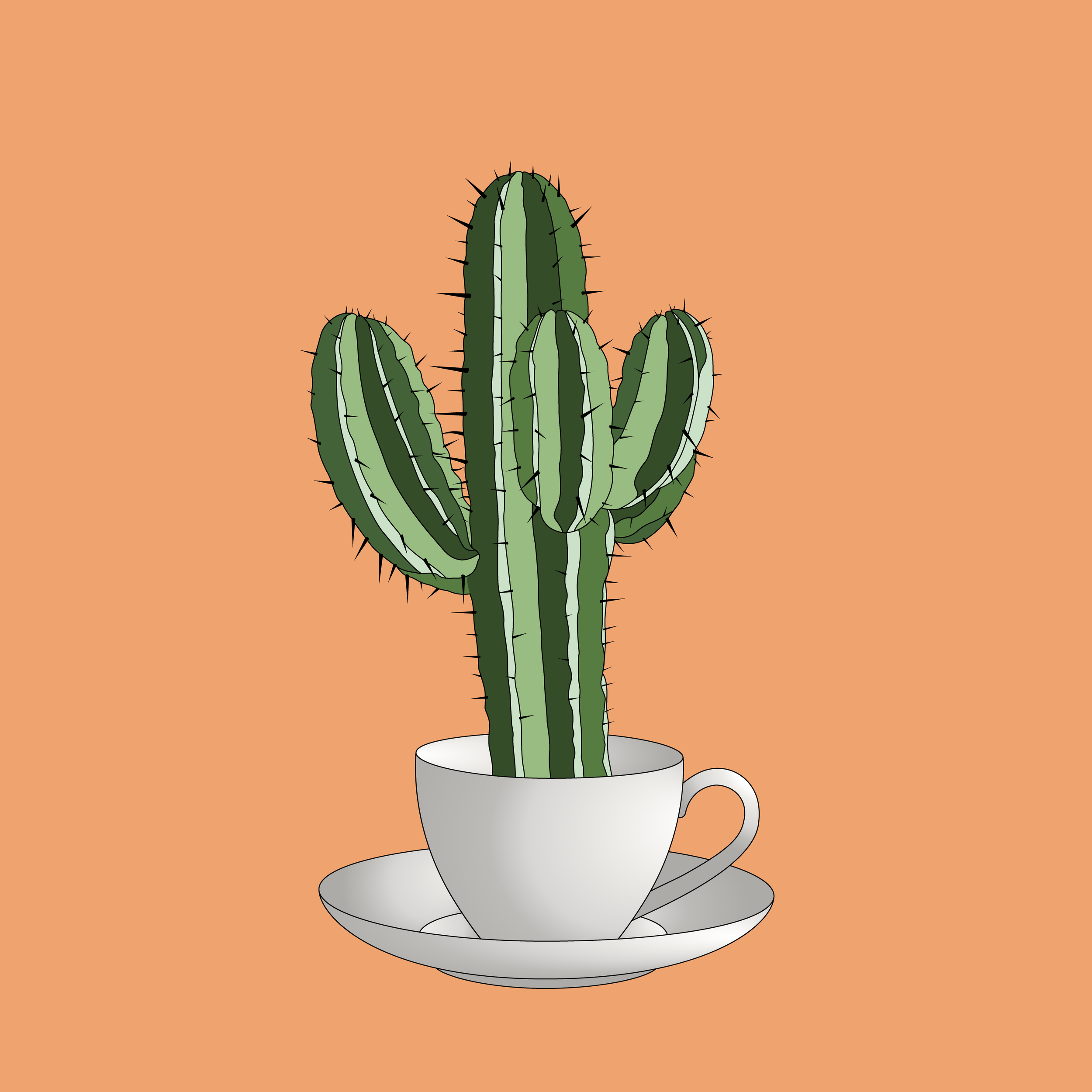 Cactus Coffee.png