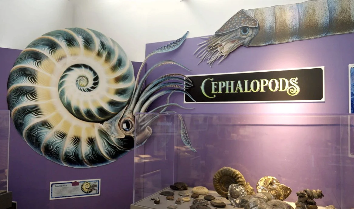 creatures.jpg