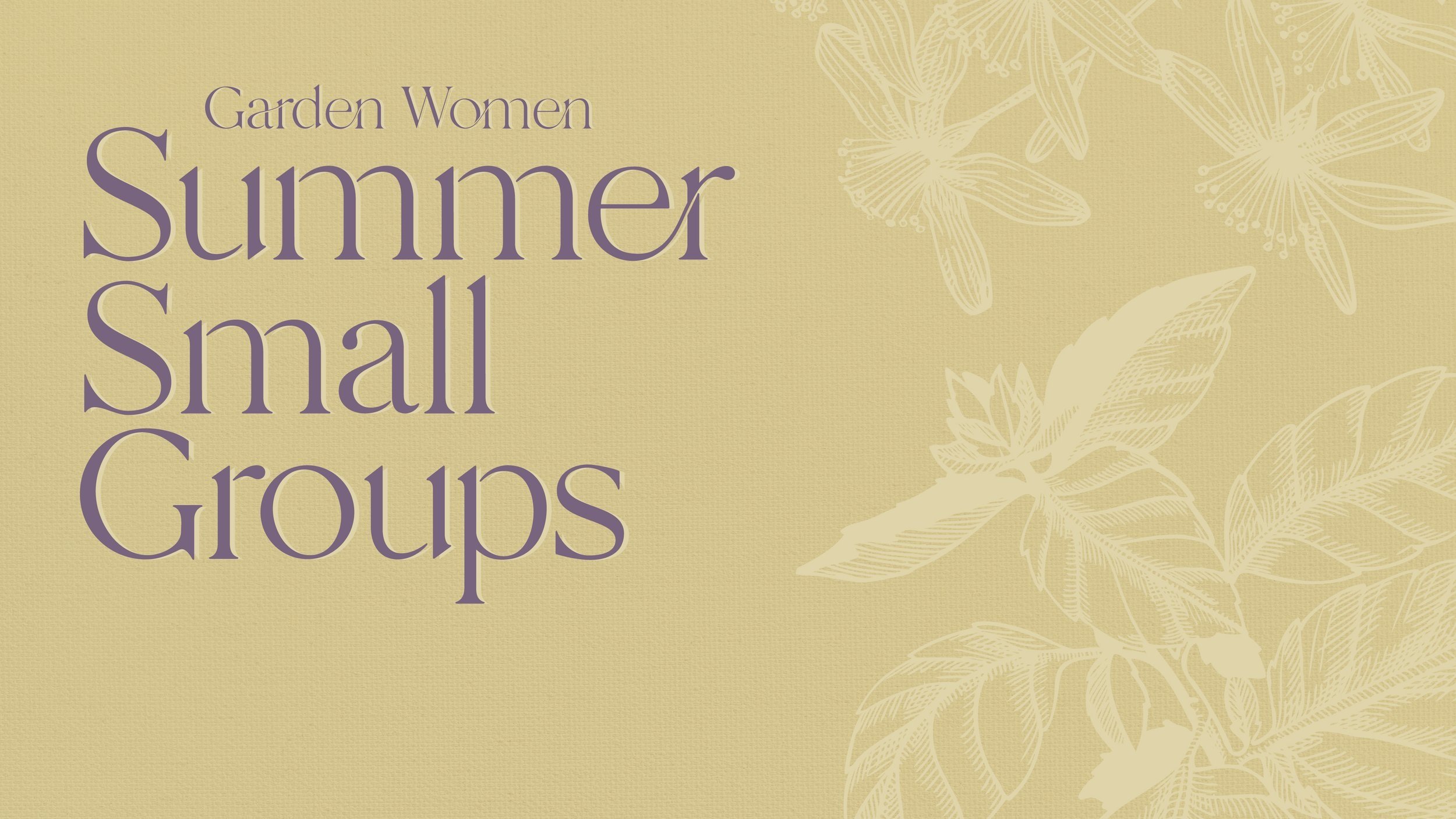 Summer Small Groups | 2024