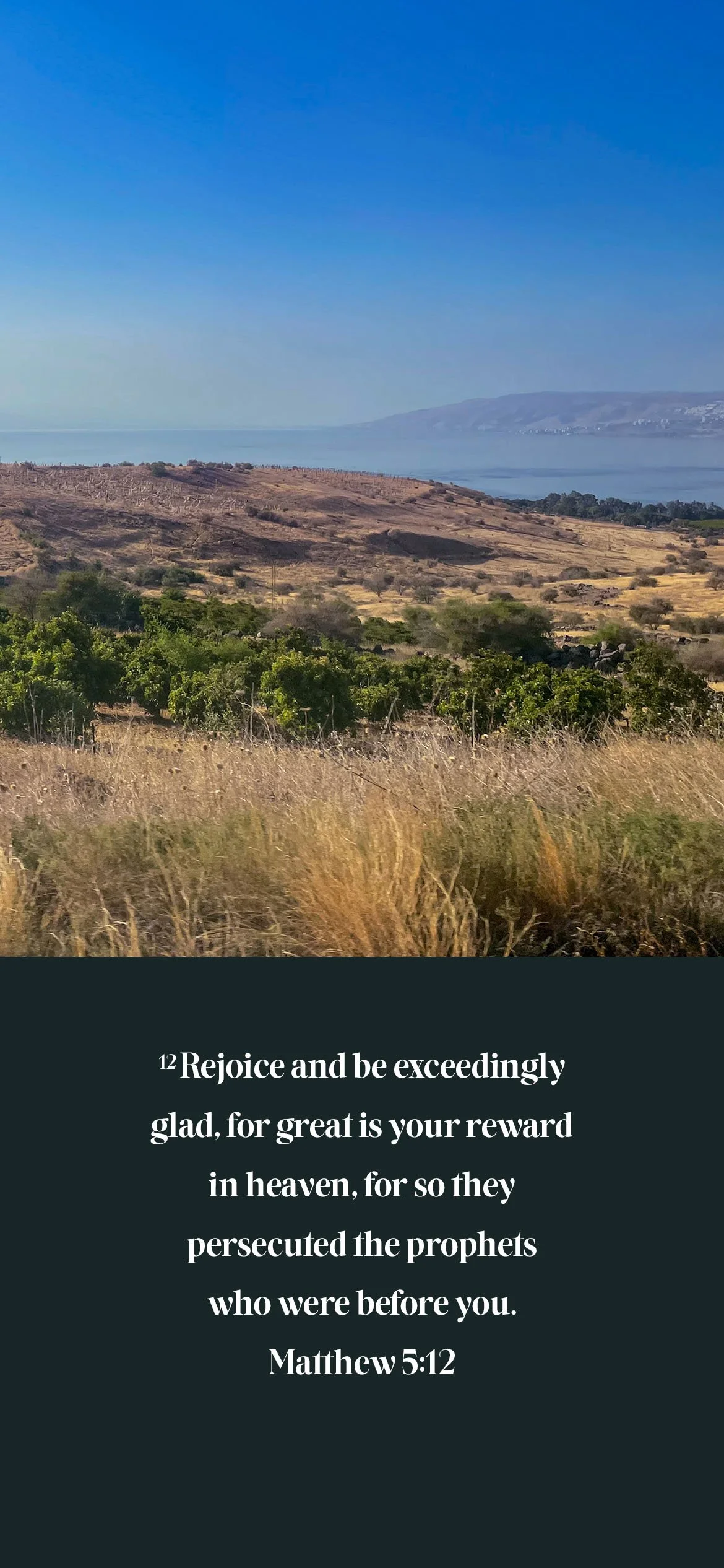 Sermon on the Mount_Lockscreens2_Week 8a.jpg