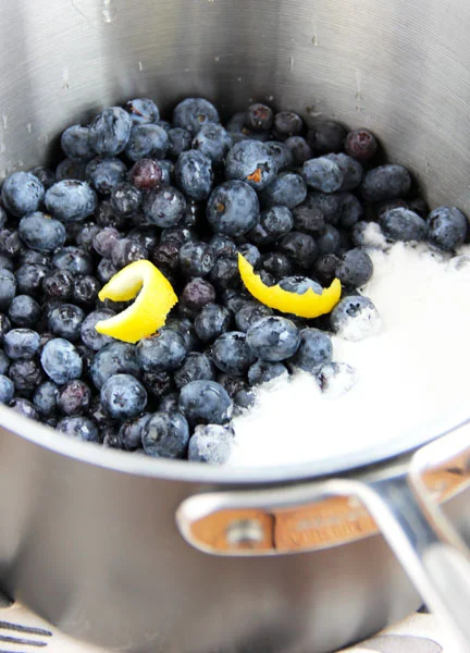 bluberries in pan.jpg
