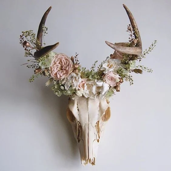 Meghan Lacroix, Deer Skull with Preserved Floral Crown