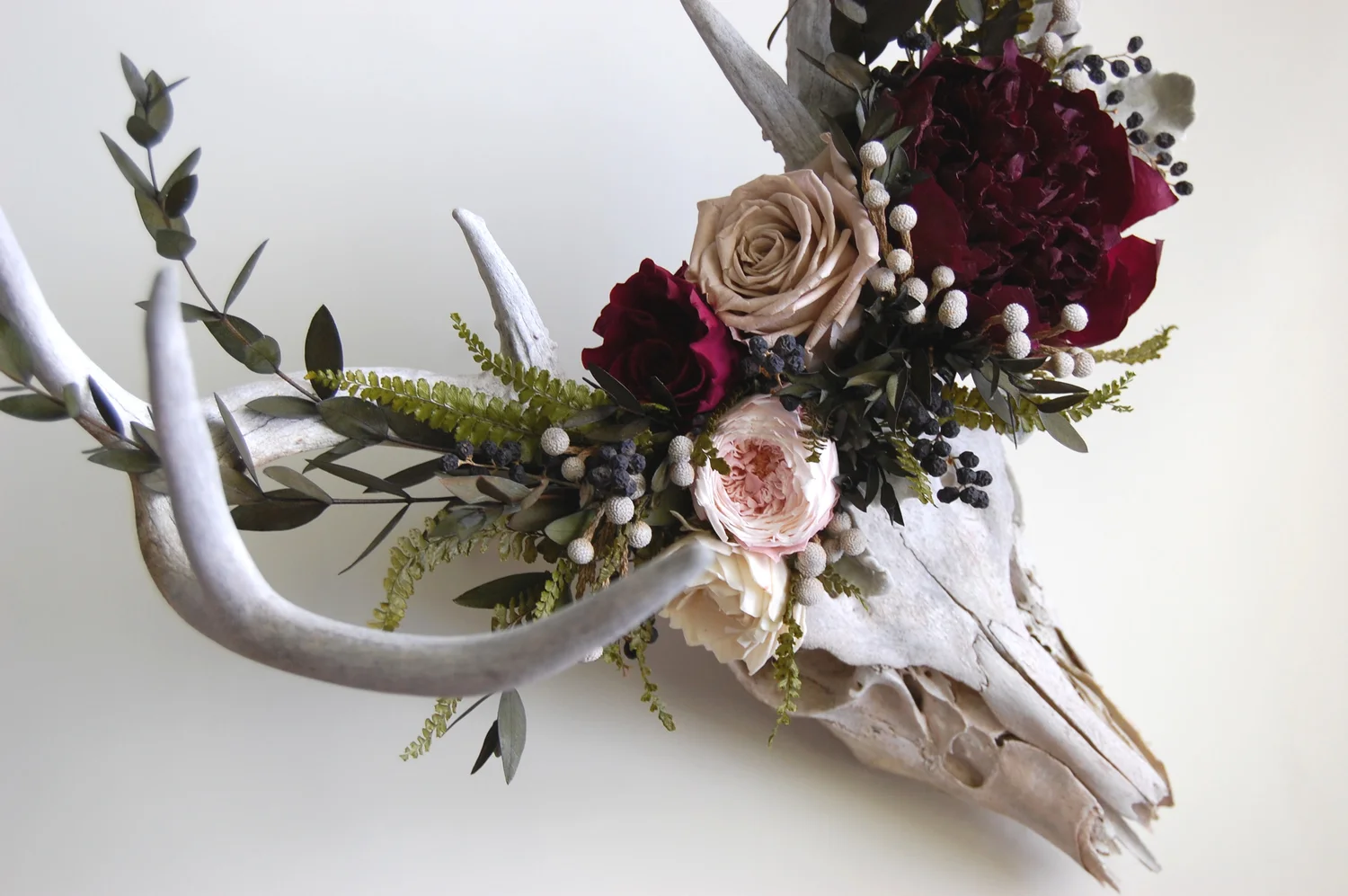 Meghan LaCroix, Deer Skull with Preserved Floral Crown