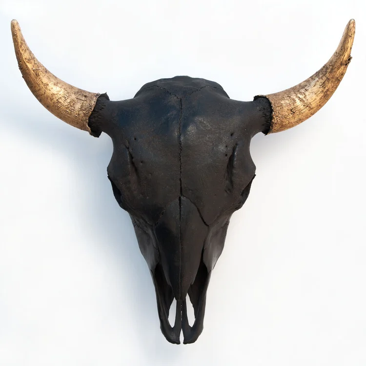 Owen Mortensen, Bison Skull, Black with Gold Horns