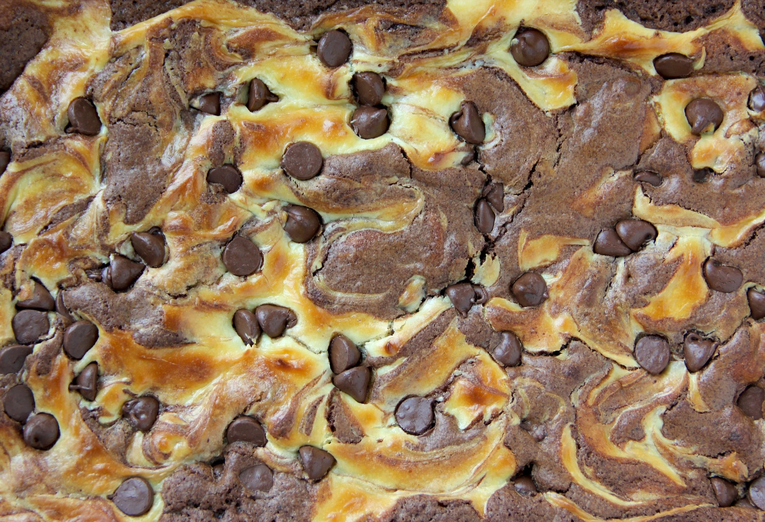 cheesecake b 2.jpg