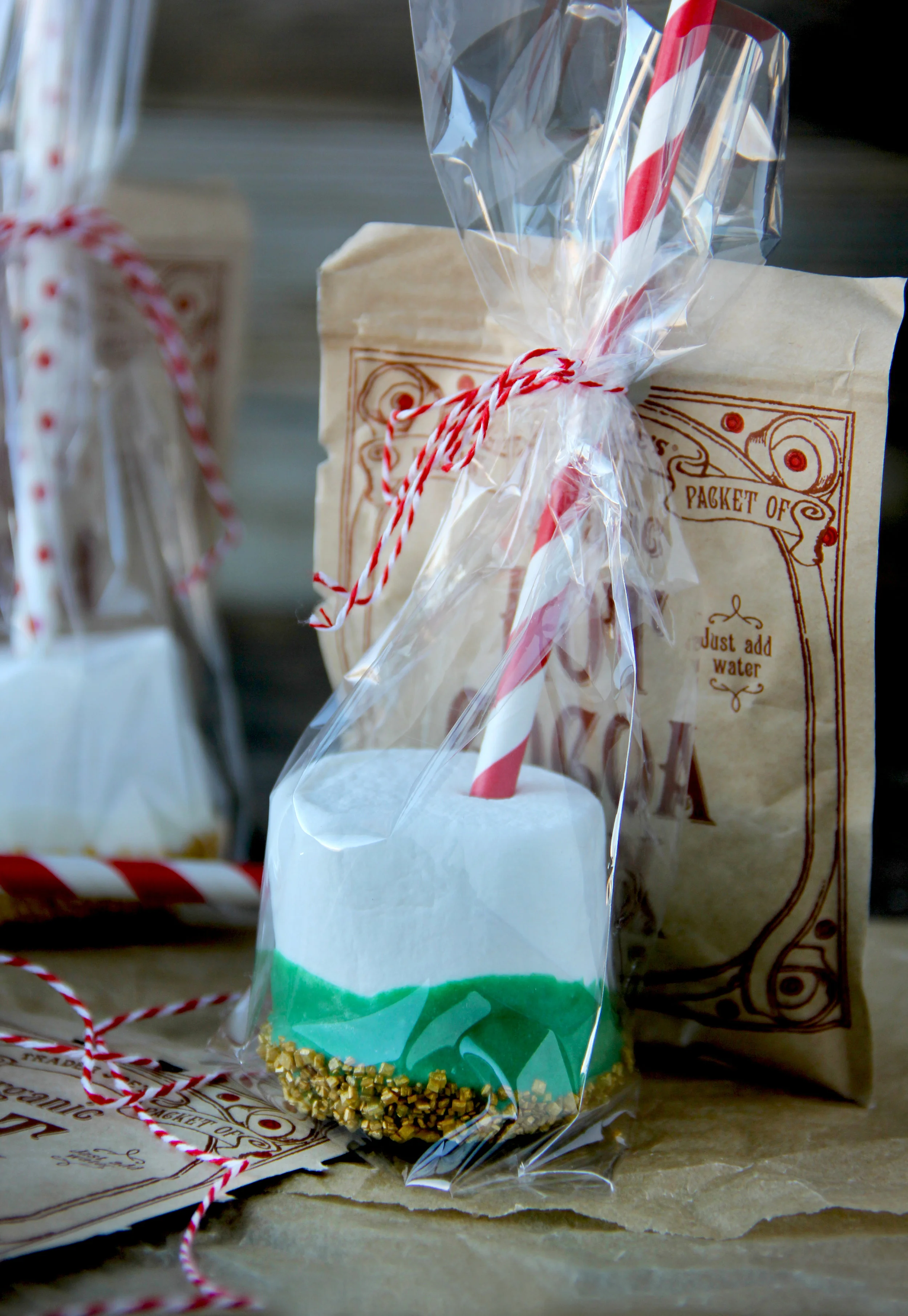 dipped marshmallows 14.jpg
