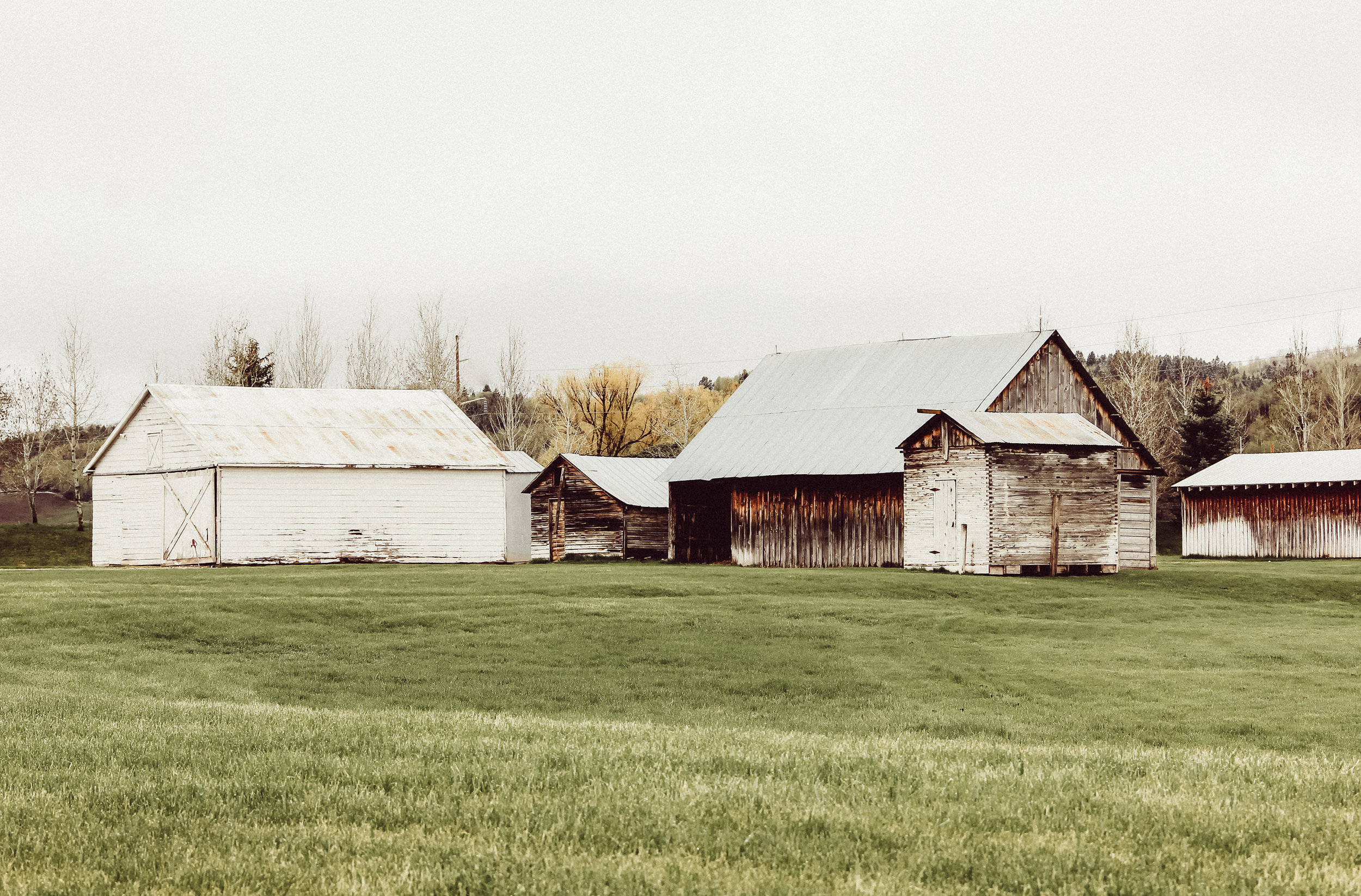 The barns at Jackknife Creek Ranch
