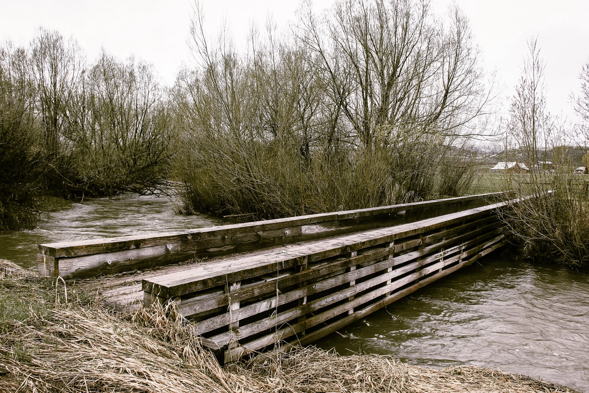 The bridge crossing Jackknife Creek