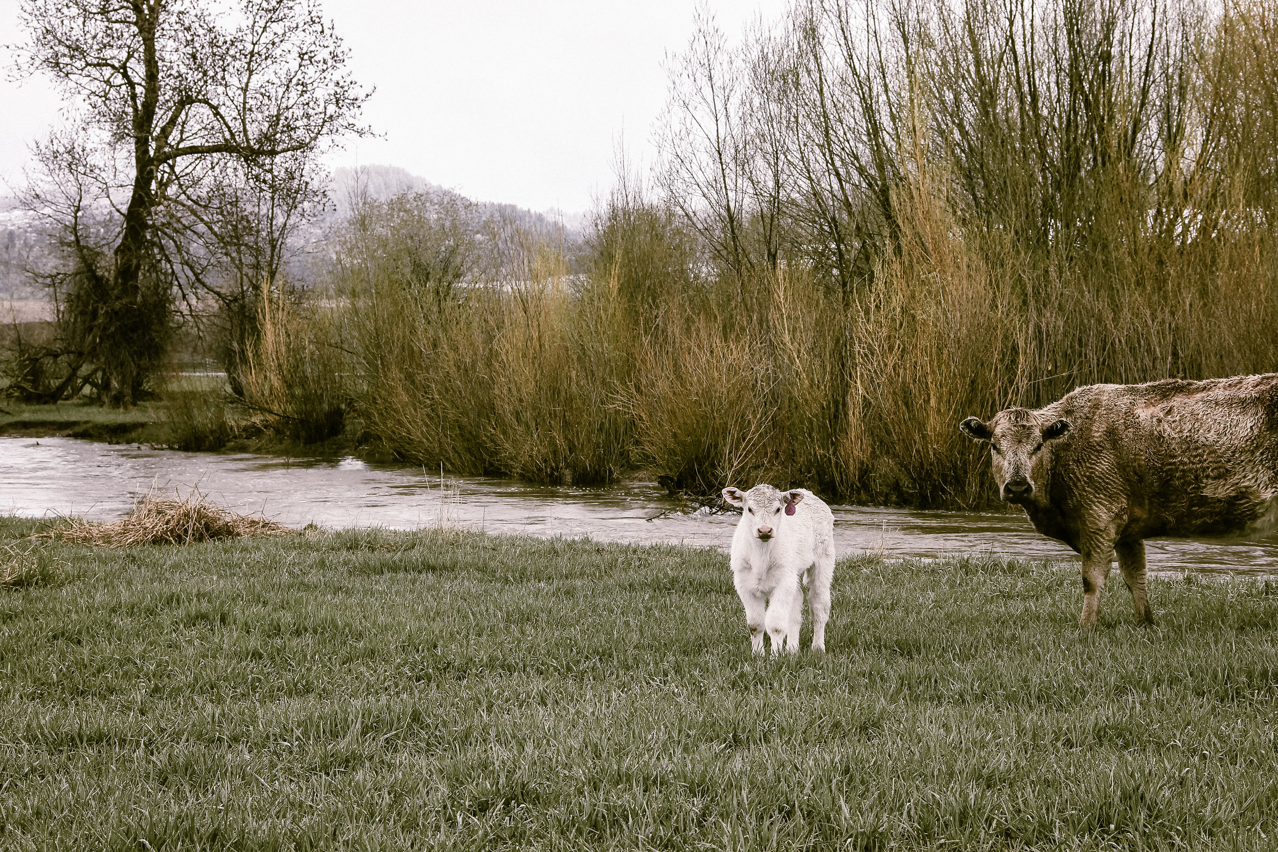 Wild Child and her mom, Freedom
