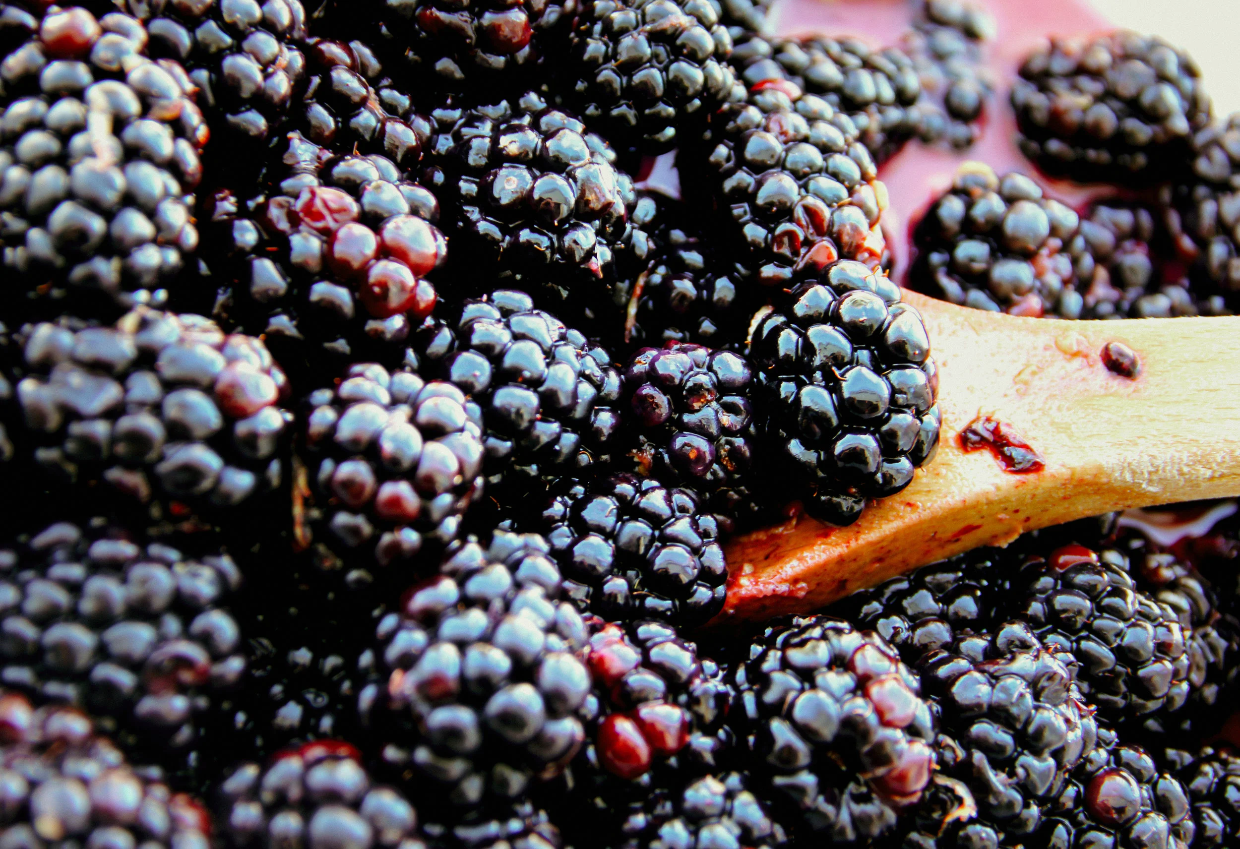 Berries.jpg