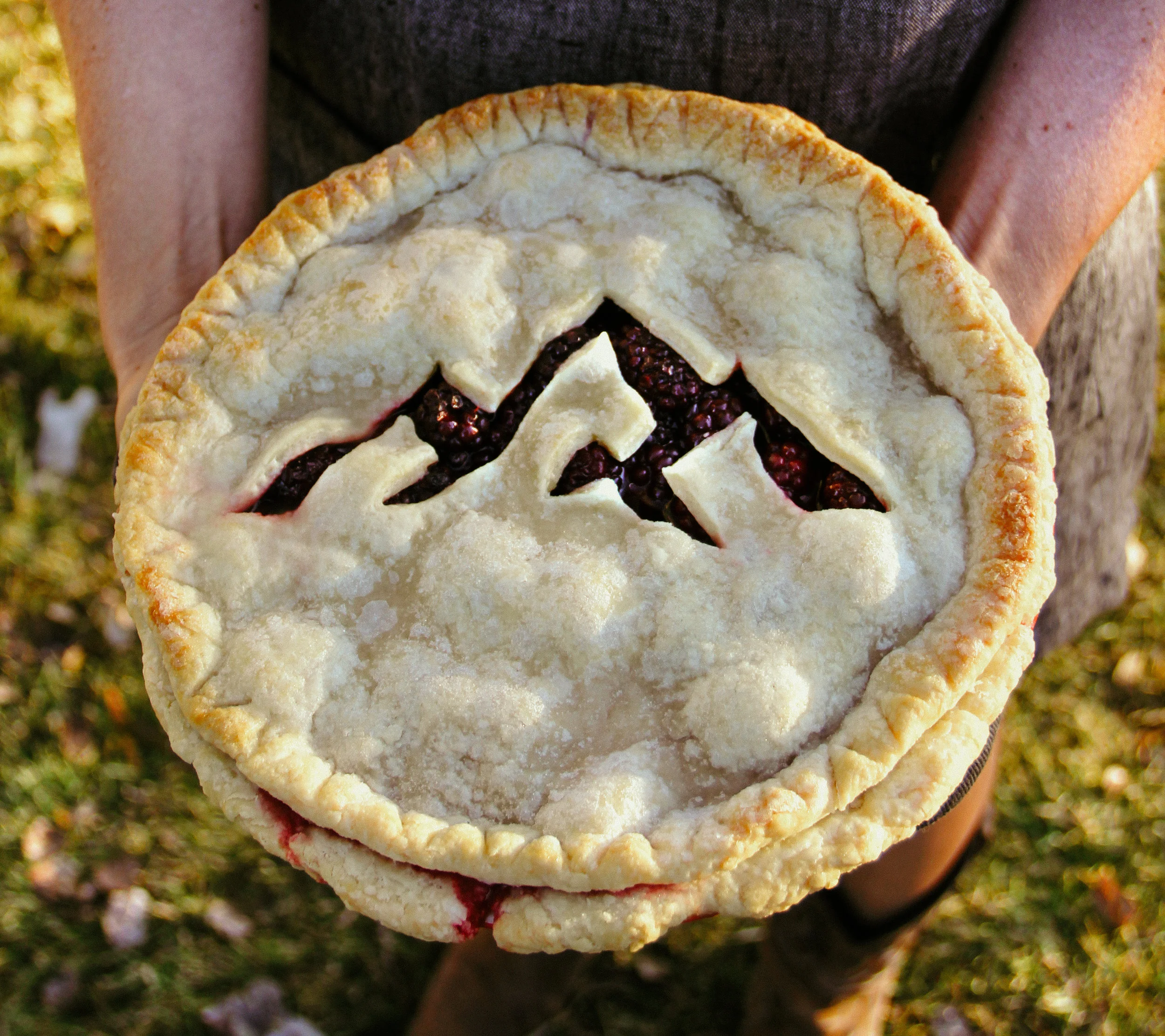 Teton Mountain Pie.jpg