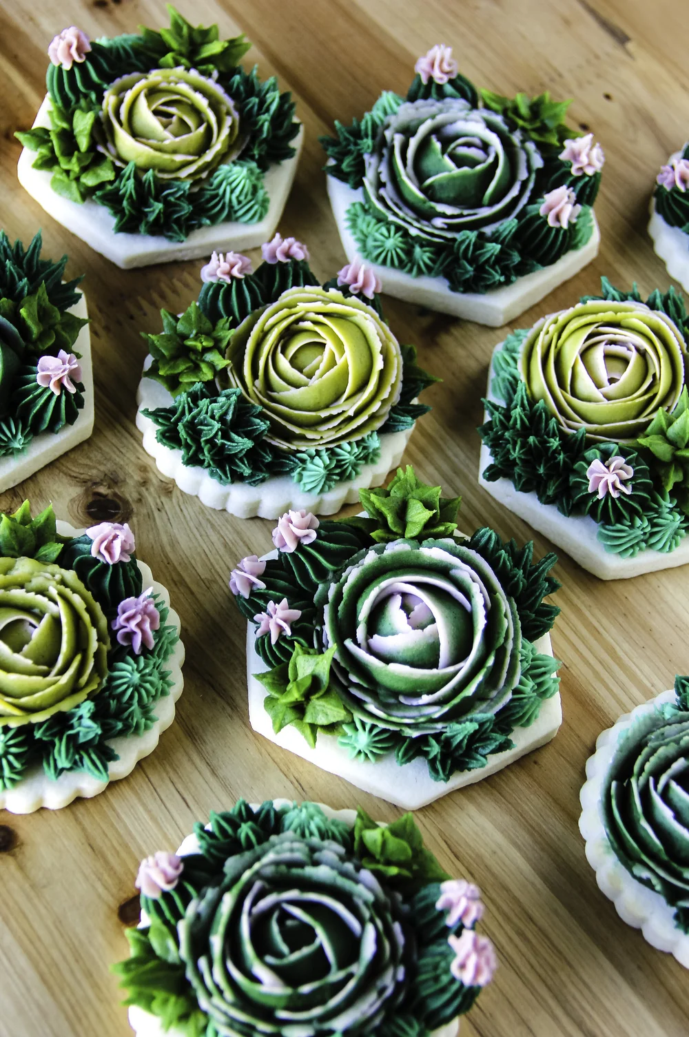 Lady In The Wild West