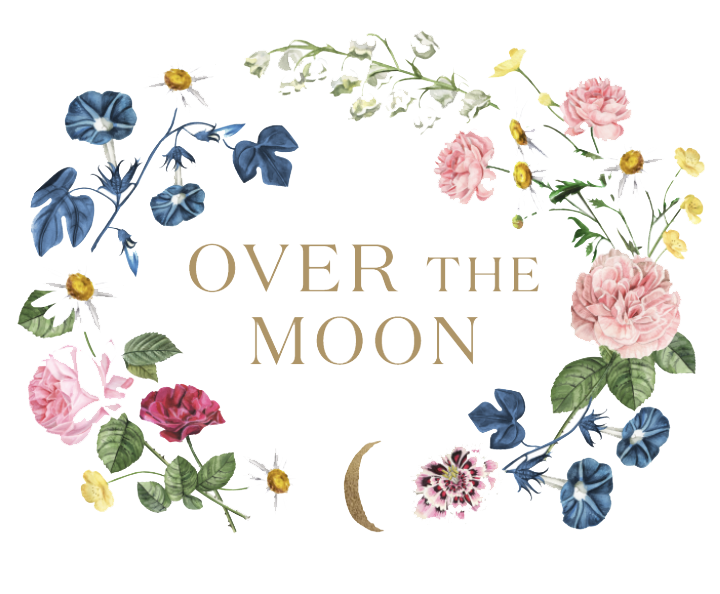 over the moon.png