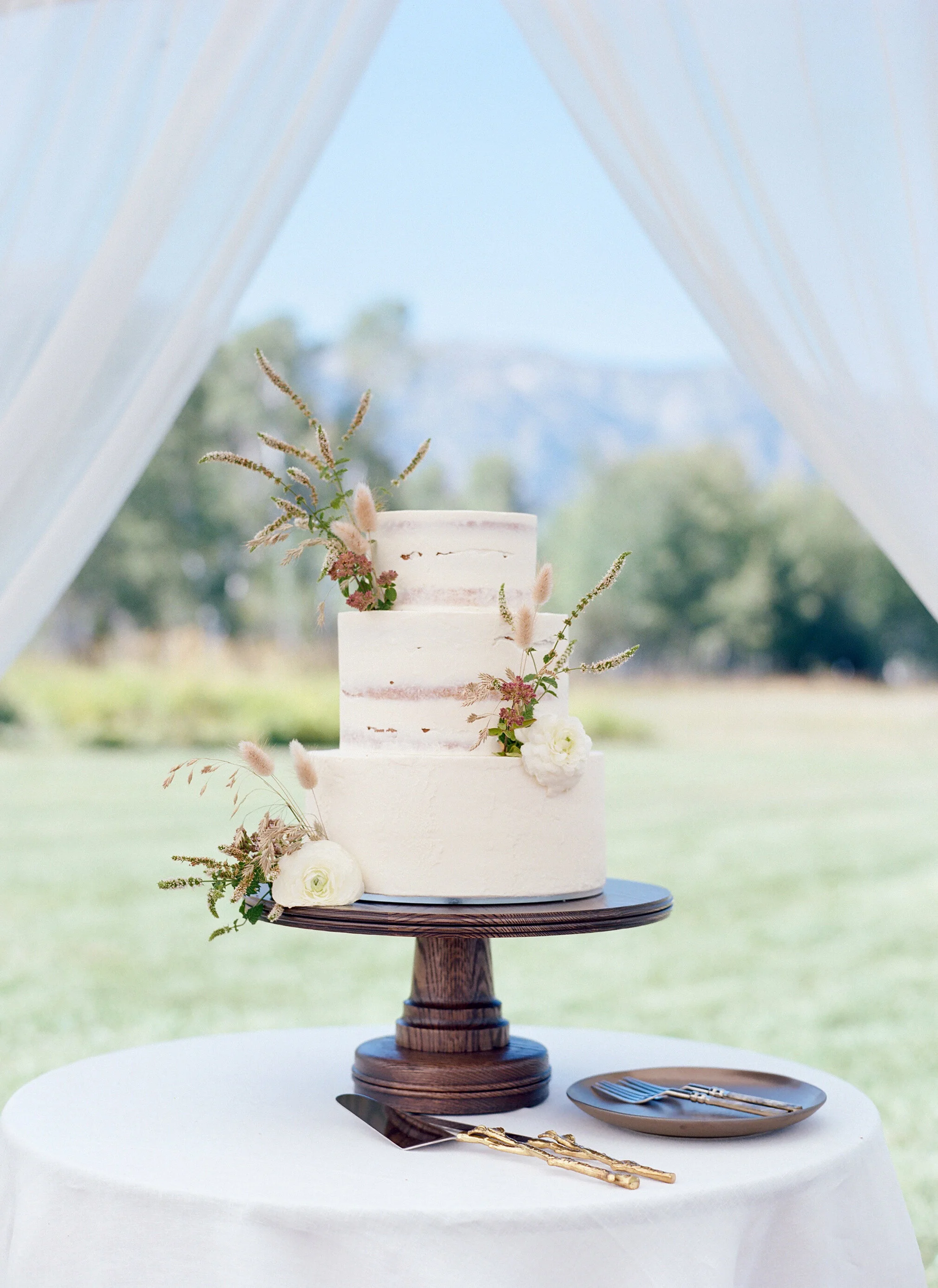 Carrie Patterson Photography