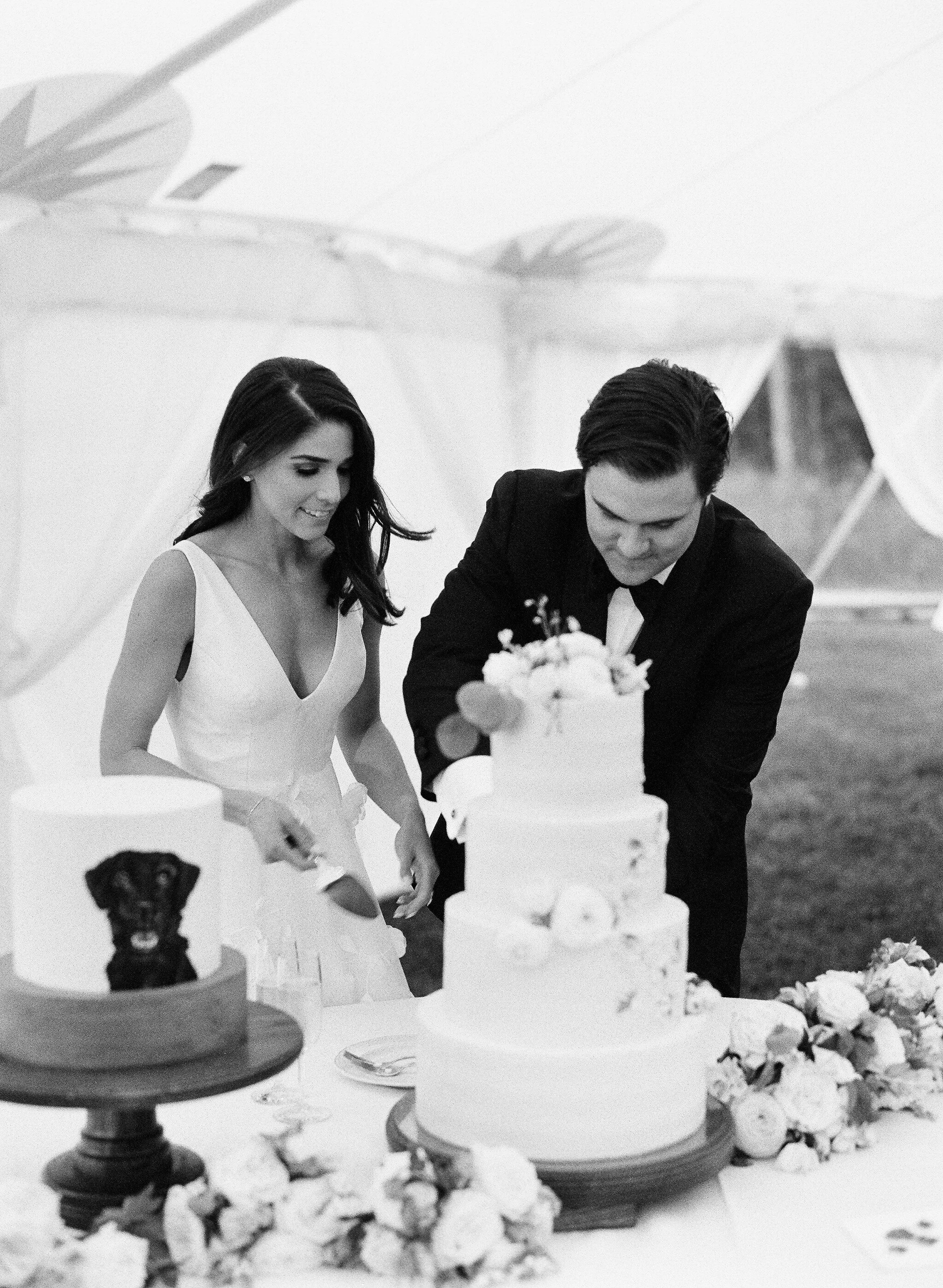 Carrie Patterson Photography