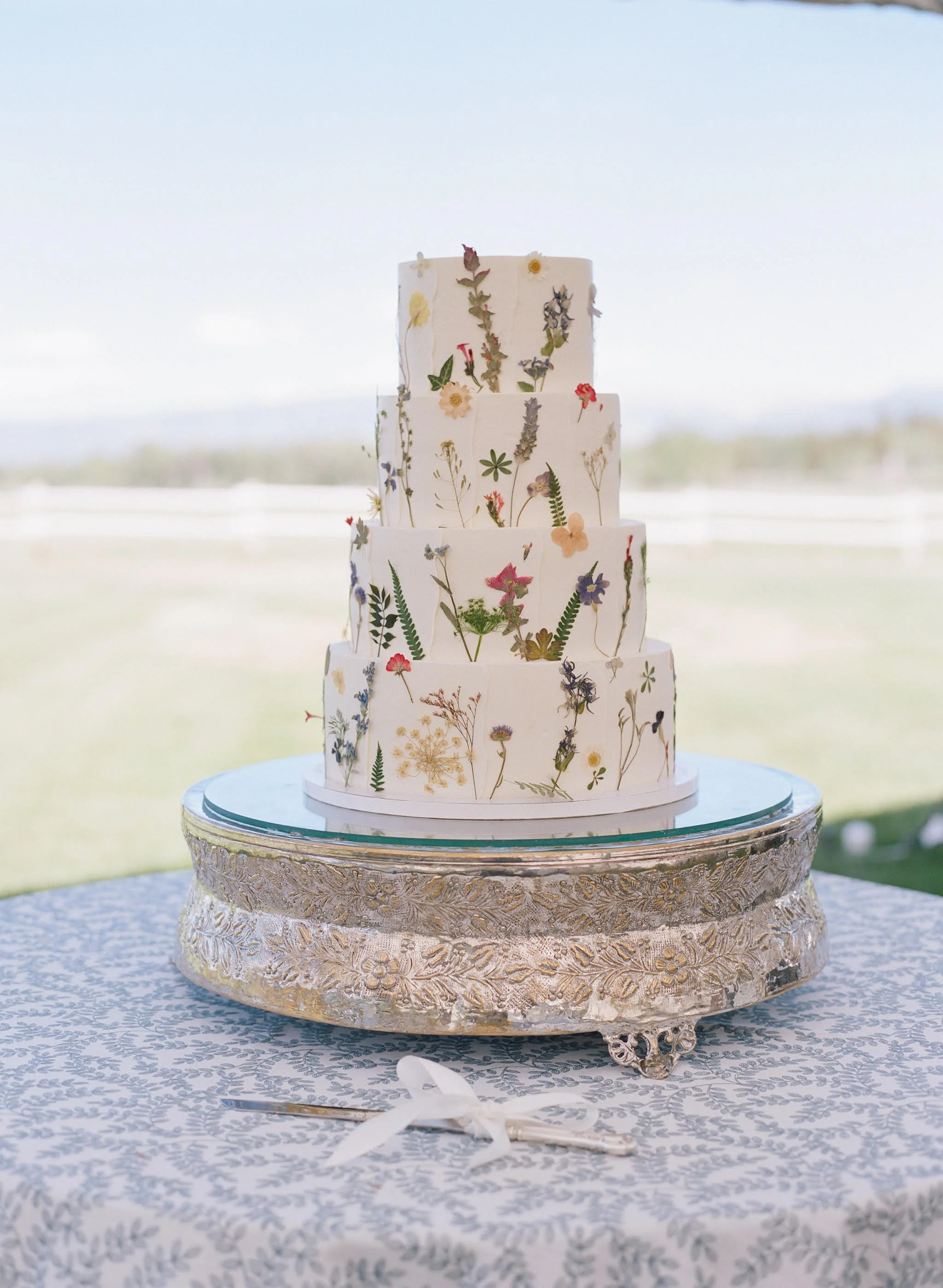 Carrie Patterson Photography