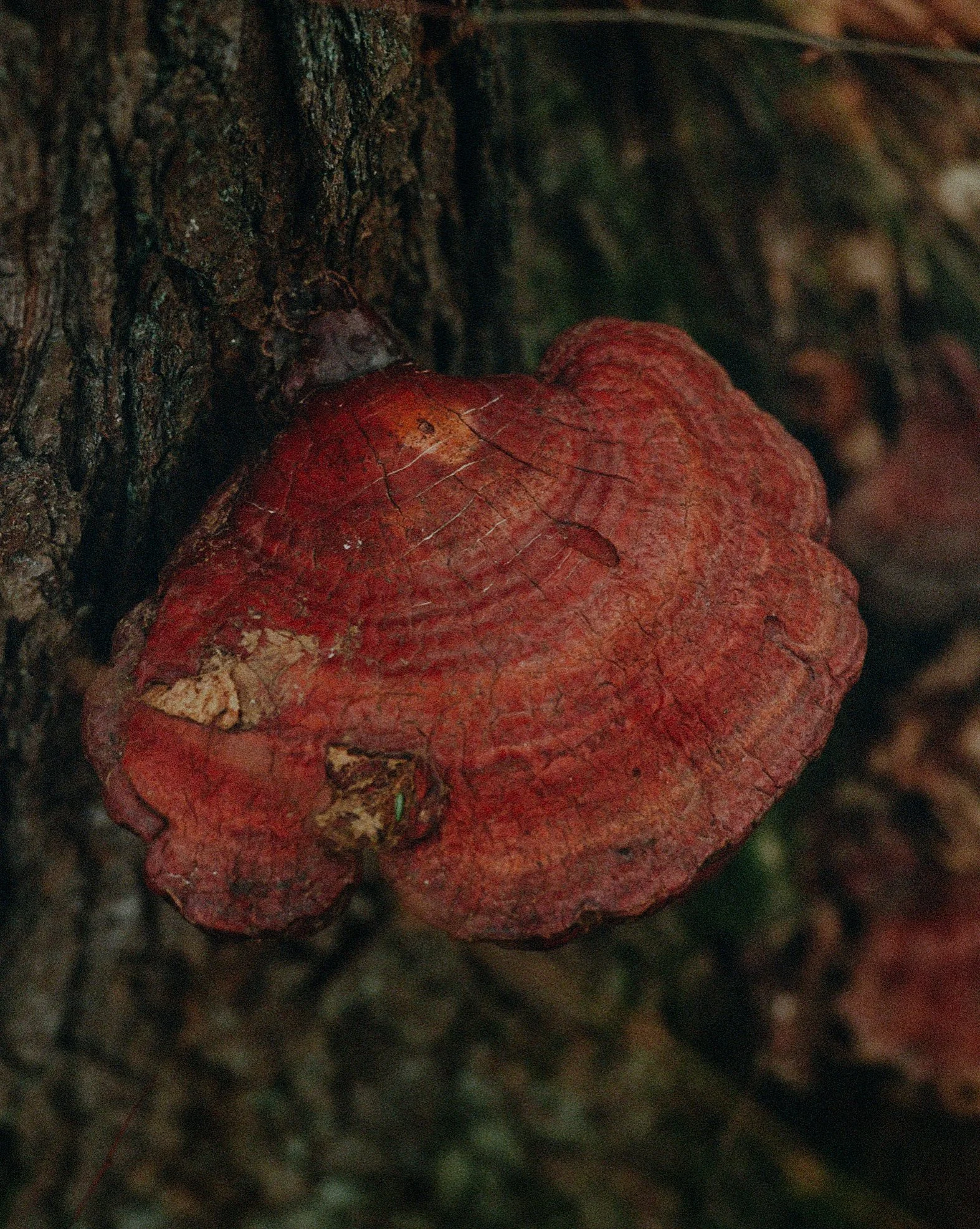 94862_SBR_004_05.jpg