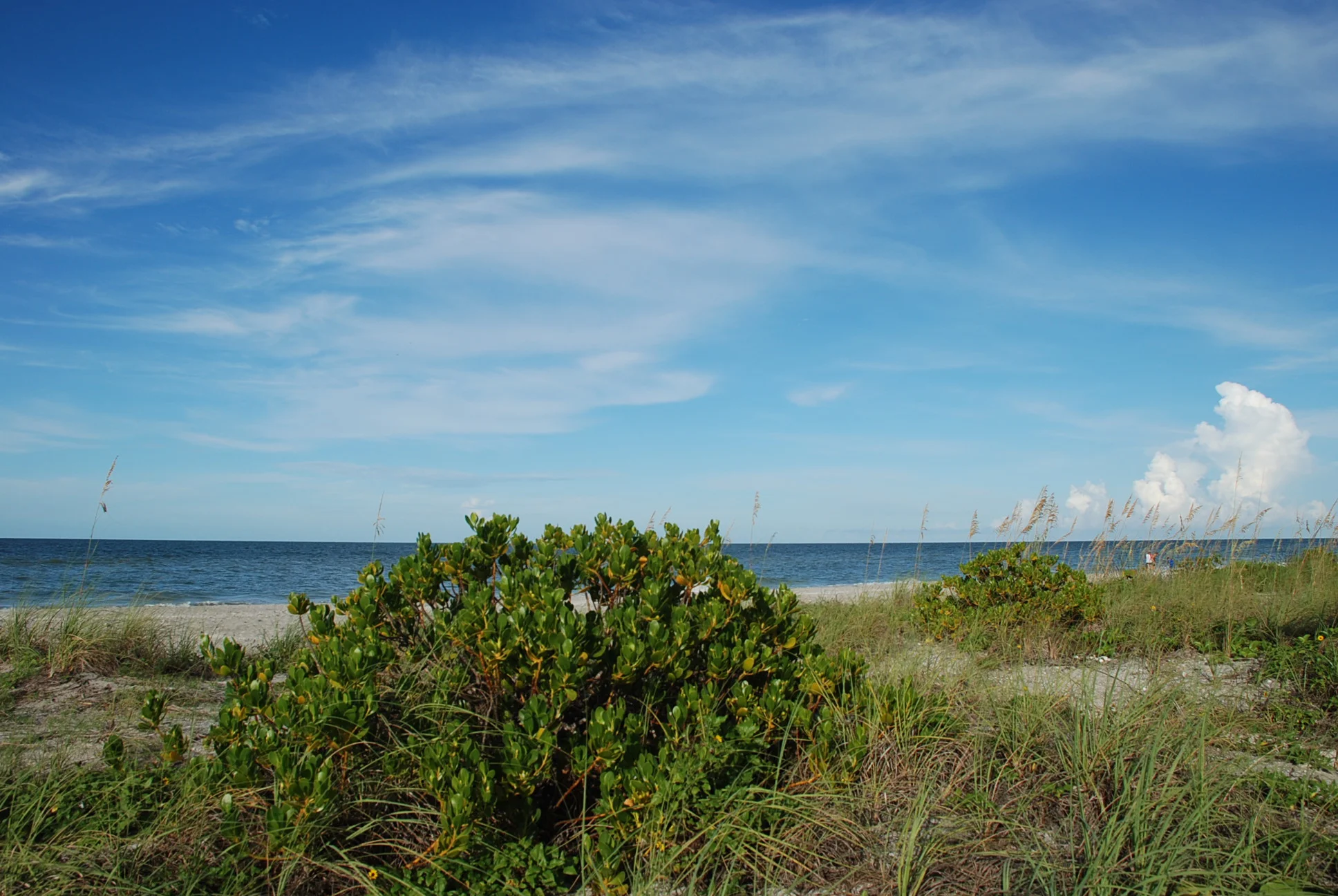 DSC_0599.JPG