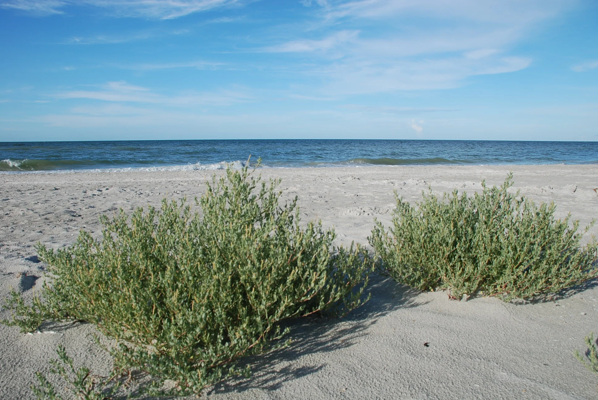 DSC_0612.JPG